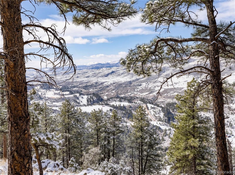 9316 Tawny Lynx Rd, Loveland, CO 80538