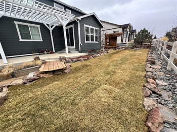 4647 Gray Wolf Ln, Castle Rock, CO 80104