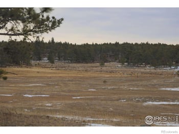 11741 County Road 67j, Livermore, CO 80536