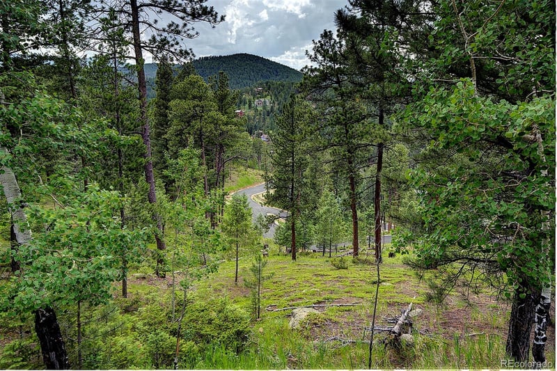 6875 Lynx Lair Rd, Evergreen, CO 80439