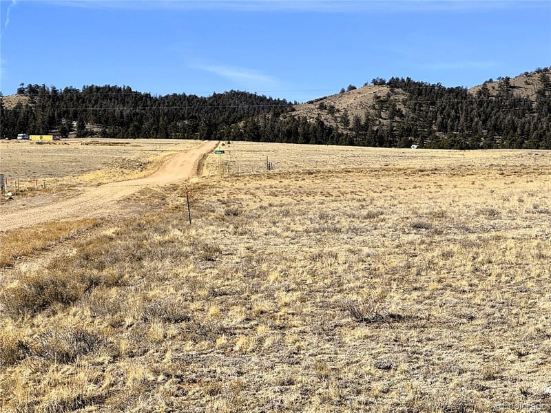 1127 Summit Rd, Hartsel, CO 80449