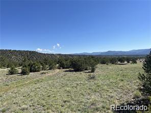 14973 Chalk Creek Dr, Nathrop, CO 81236