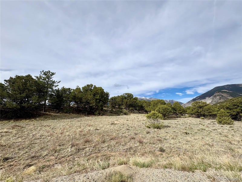 14973 Chalk Creek Dr, Nathrop, CO 81236