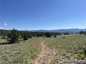 14973 Chalk Creek Dr, Nathrop, CO 81236