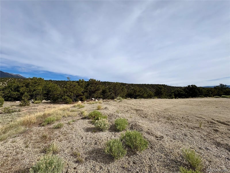 14973 Chalk Creek Dr, Nathrop, CO 81236