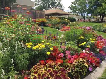 745 Alton Way #8B, Denver, CO 80247