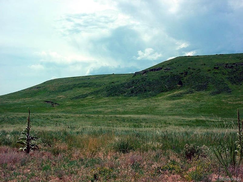 Lot 2 Twin Bluffs Rd Lot 2, Larkspur, CO 80118