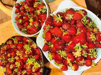 1891 Quebec Way, Denver, CO 80231