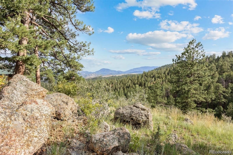 13817 Gordon Ct, Pine, CO 80470