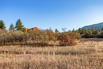 6150 Olympic Ct, Larkspur, CO 80118