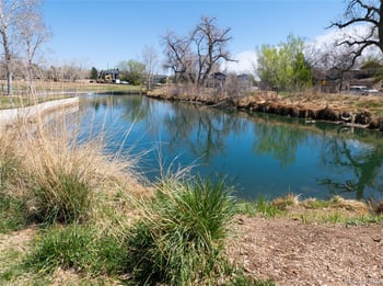 2941 81st Ave #F, Westminster, CO 80031