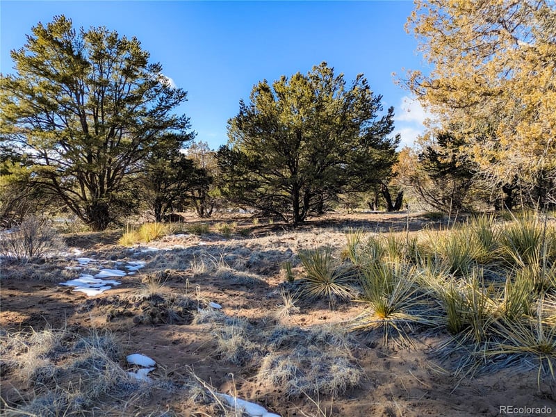 4229 Radiant , Crestone, CO 81131