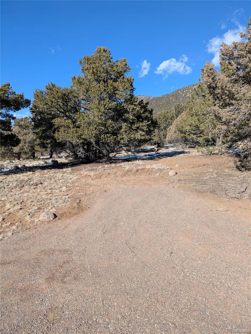 4229 Radiant , Crestone, CO 81131