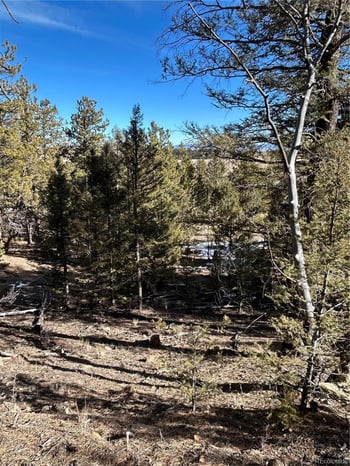 4376 Campfire Rd, Hartsel, CO 80449