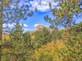 11864 Stallion Dr, Pine, CO 80470