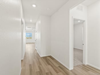 1695 Yampa River Dr, Windsor, CO 80550