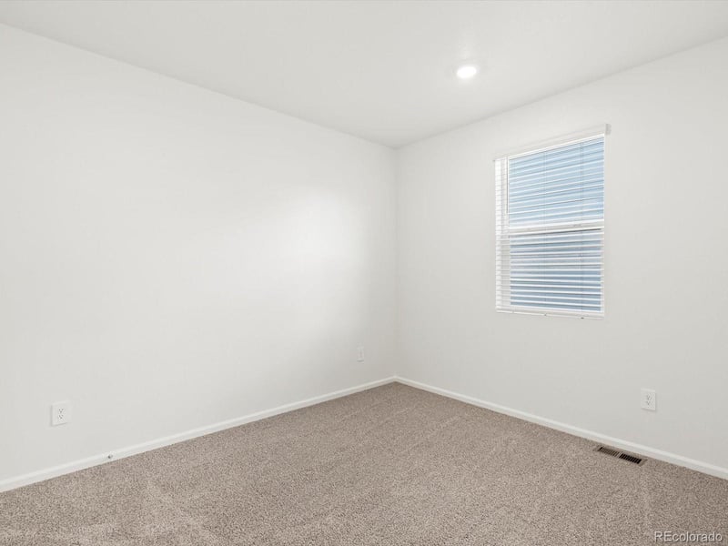 1695 Yampa River Dr, Windsor, CO 80550