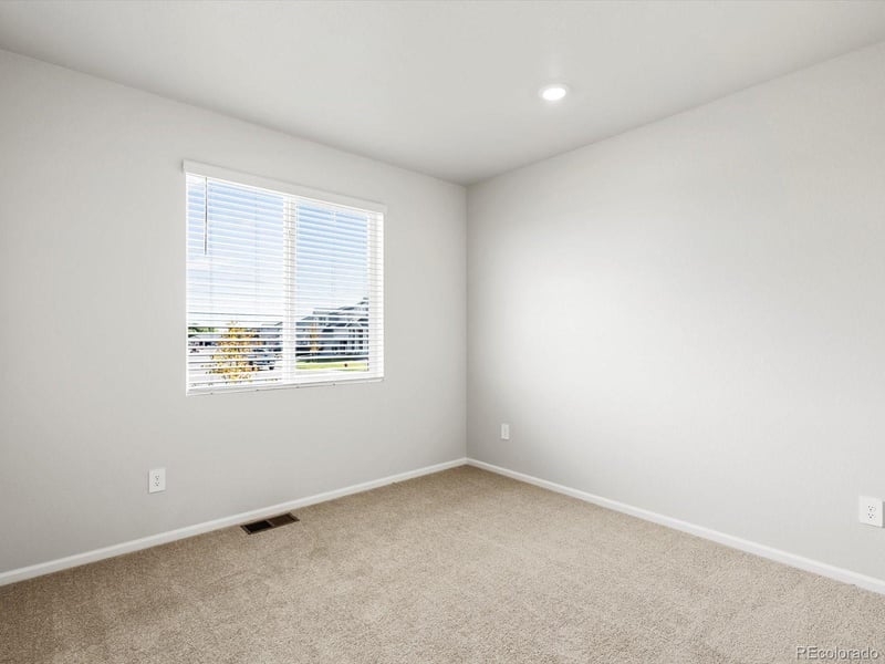 1626 Rumley Creek Dr, Windsor, CO 80550