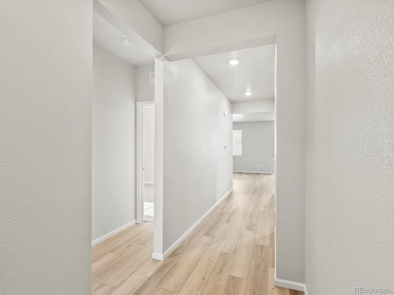 1626 Rumley Creek Dr, Windsor, CO 80550