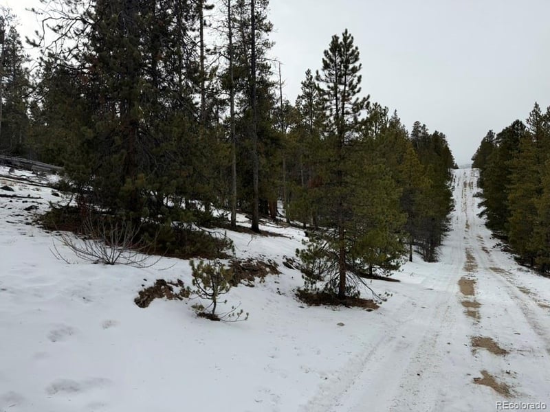 124 Lodgepole Dr, Twin Lakes, CO 81251
