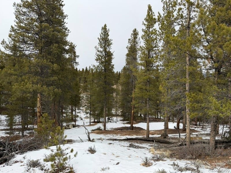 124 Lodgepole Dr, Twin Lakes, CO 81251