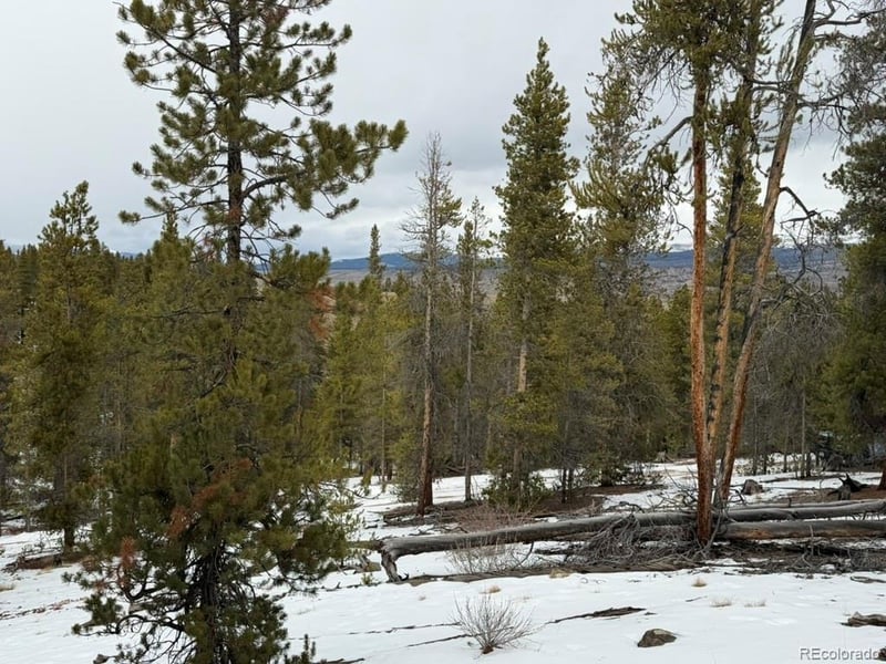 124 Lodgepole Dr, Twin Lakes, CO 81251