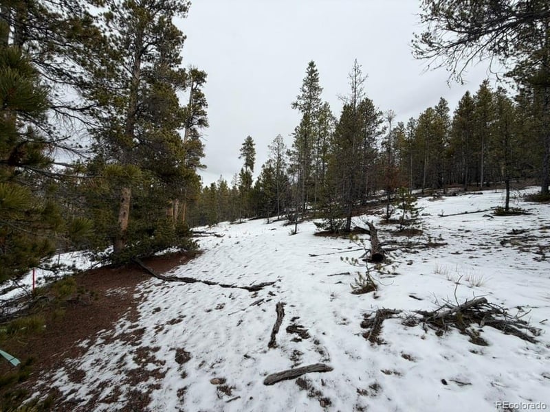 124 Lodgepole Dr, Twin Lakes, CO 81251