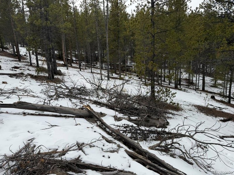 124 Lodgepole Dr, Twin Lakes, CO 81251