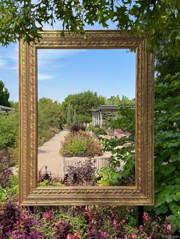 1243 Gaylord St #205, Denver, CO 80206