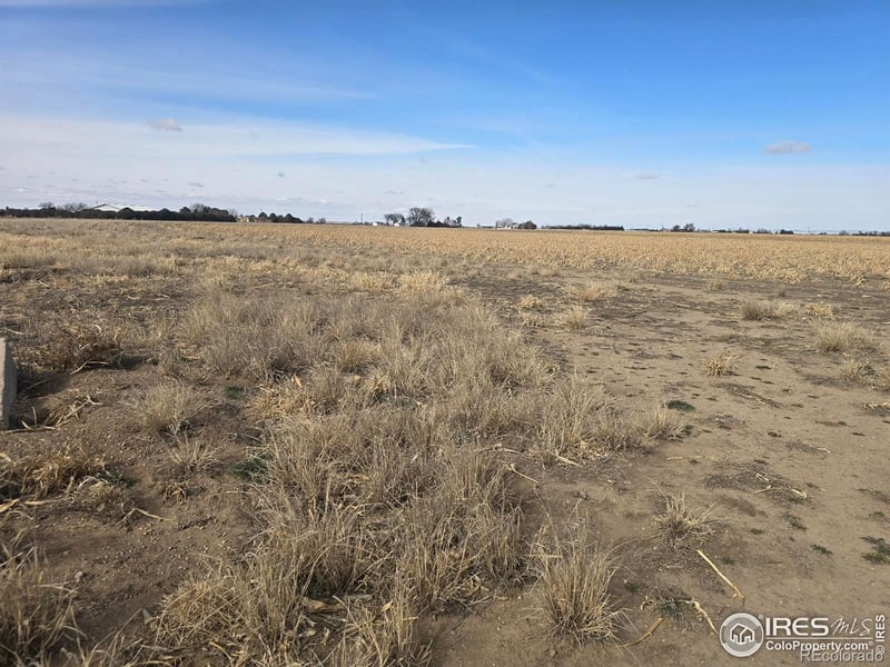 9482 Highway 52, Wiggins, CO 80654