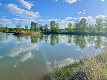 11687 Newton St, Westminster, CO 80031