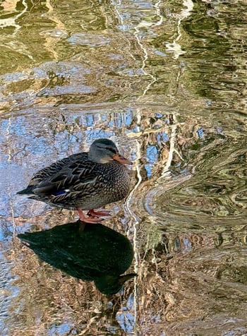 3040 Macon Cir, Aurora, CO 80014