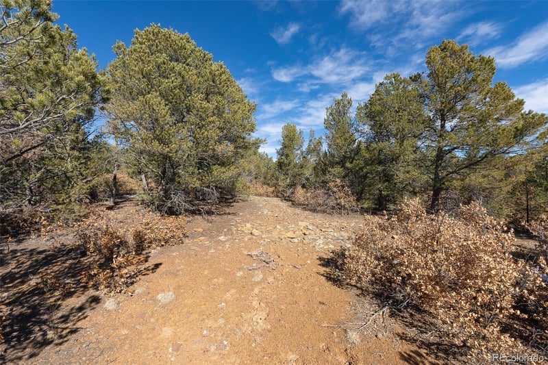 29870 County Rd 16, Trinidad, CO 81082