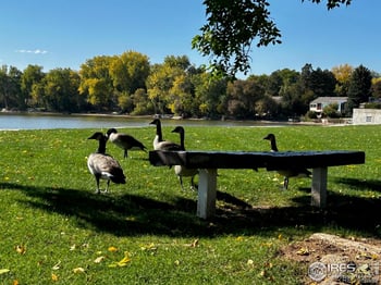 3036 Regatta Ln #2, Fort Collins, CO 80525