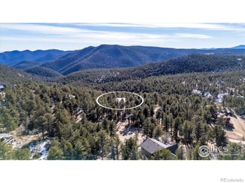 148 Hickok Trl, Ward, CO 80481