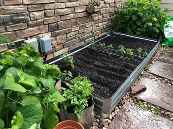 927 Hover Ridge Cir, Longmont, CO 80501