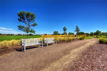 10792 Sedalia Cir, Commerce City, CO 80022