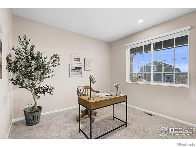 6849 Hayfield St, Wellington, CO 80549