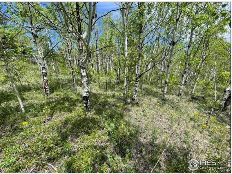 11320 Gold Hill Rd, Boulder, CO 80302