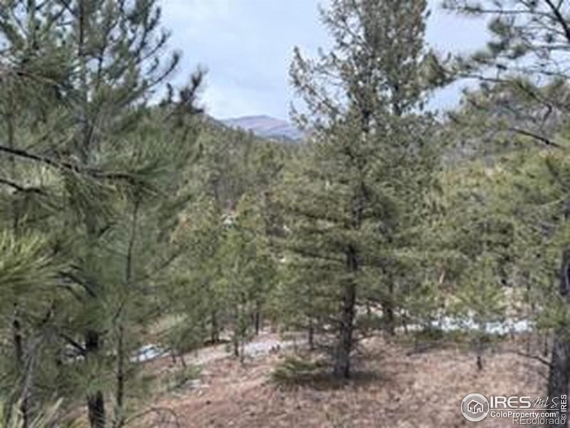 7294 County Road 43, Glen Haven, CO 80532