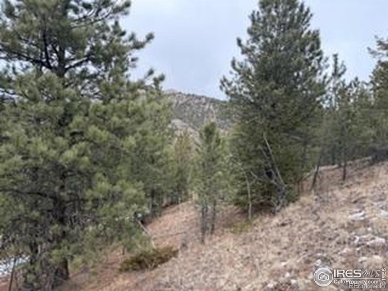 7294 County Road 43, Glen Haven, CO 80532