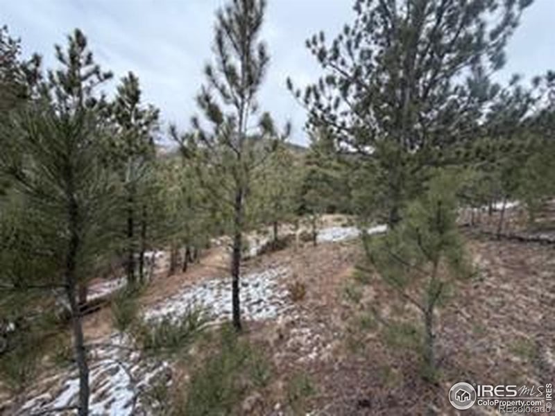 7294 County Road 43, Glen Haven, CO 80532