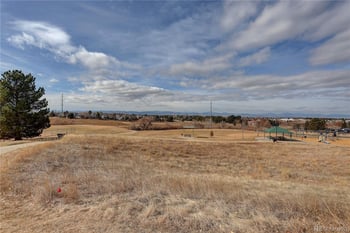 13226 Canopus Dr, Lone Tree, CO 80124