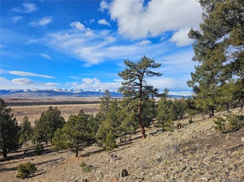 Bonell Dr, Fairplay, CO 80440