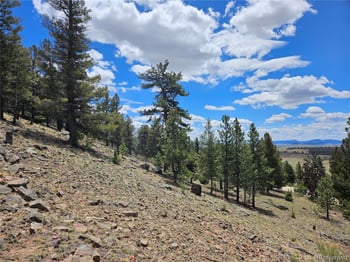 Bonell Dr, Fairplay, CO 80440