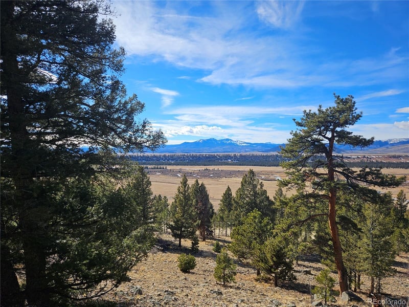 Bonell Dr, Fairplay, CO 80440