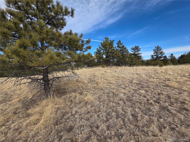 761 Basswood Ln Lot 16, Canon City, CO 81212