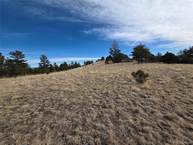 761 Basswood Ln Lot 16, Canon City, CO 81212