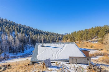 69 Snowberry Creek Rd, Florissant, CO 80816