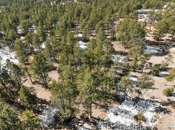 530 Columbine Rd, Florissant, CO 80816